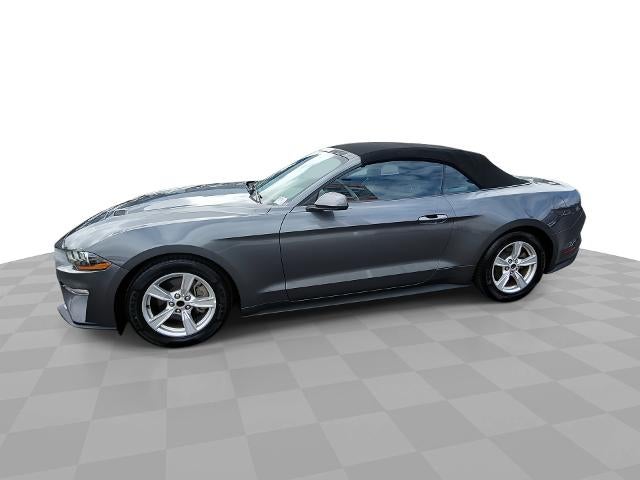 2023 Ford Mustang EcoBoost Convertible's photo