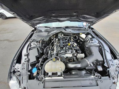 2023 Ford Mustang EcoBoost