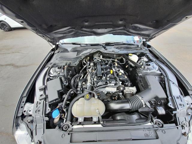 2023 Ford Mustang EcoBoost