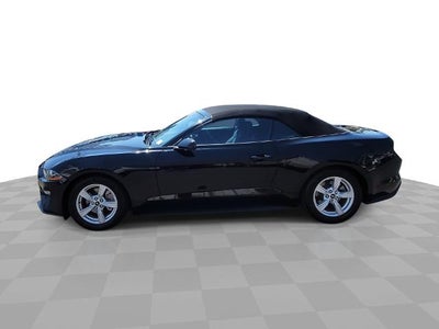 2023 Ford Mustang EcoBoost