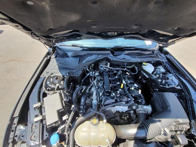 2023 Ford Mustang EcoBoost