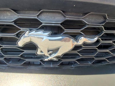 2023 Ford Mustang EcoBoost