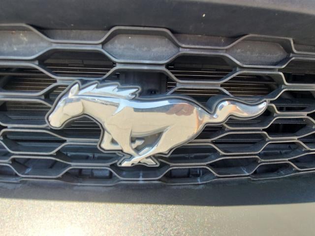 2023 Ford Mustang EcoBoost