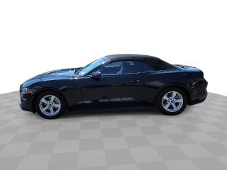 2023 Ford Mustang EcoBoost