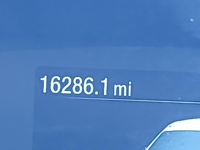 2024 Ford Transit Cargo Van T-250 130" Low Rf 9070 GVWR RWD