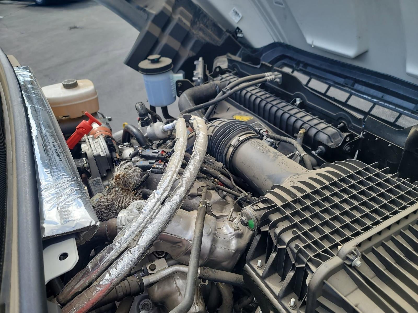 2024 Chevrolet Silverado 5500 HD Work Truck