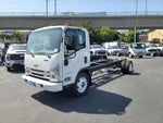 2024 Chevrolet Low Cab Forward 5500 XG 2WD Reg Cab 176"